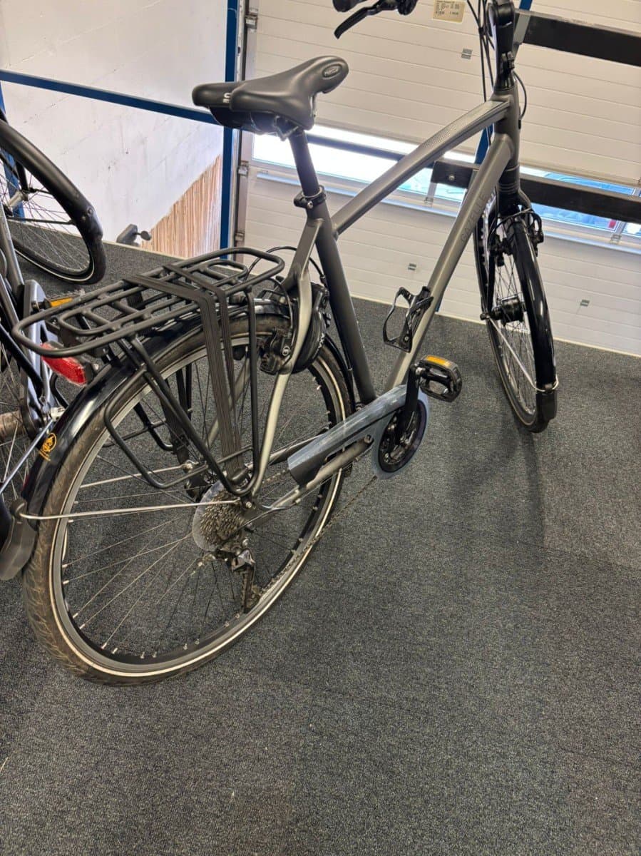 Gazelle Chamonix T30 — foto 3