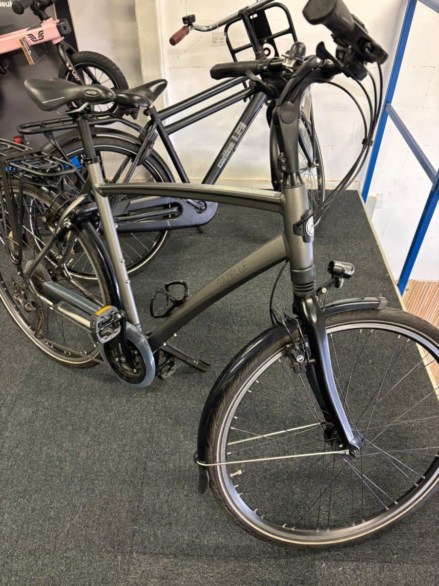 Gazelle Chamonix T30 — foto 2
