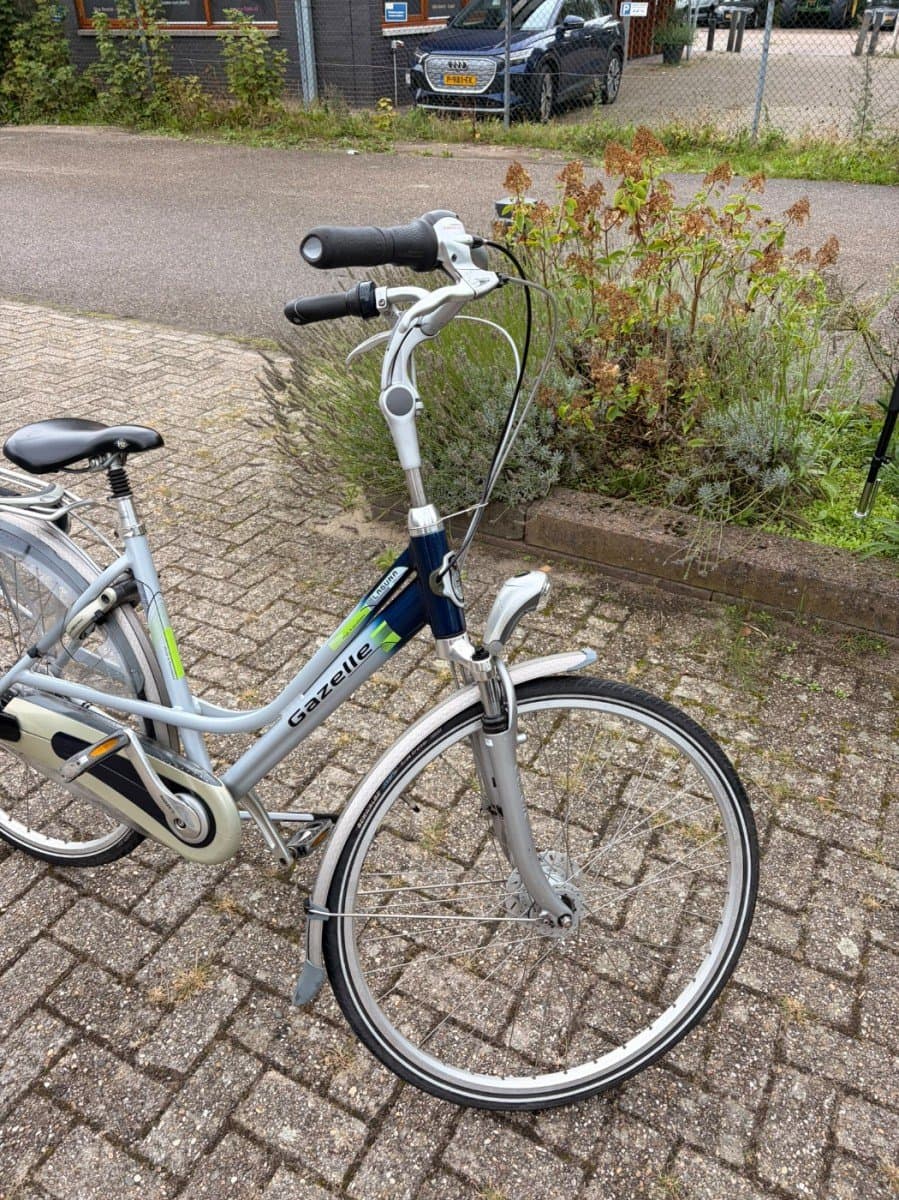 Gazelle Laguna — foto 3