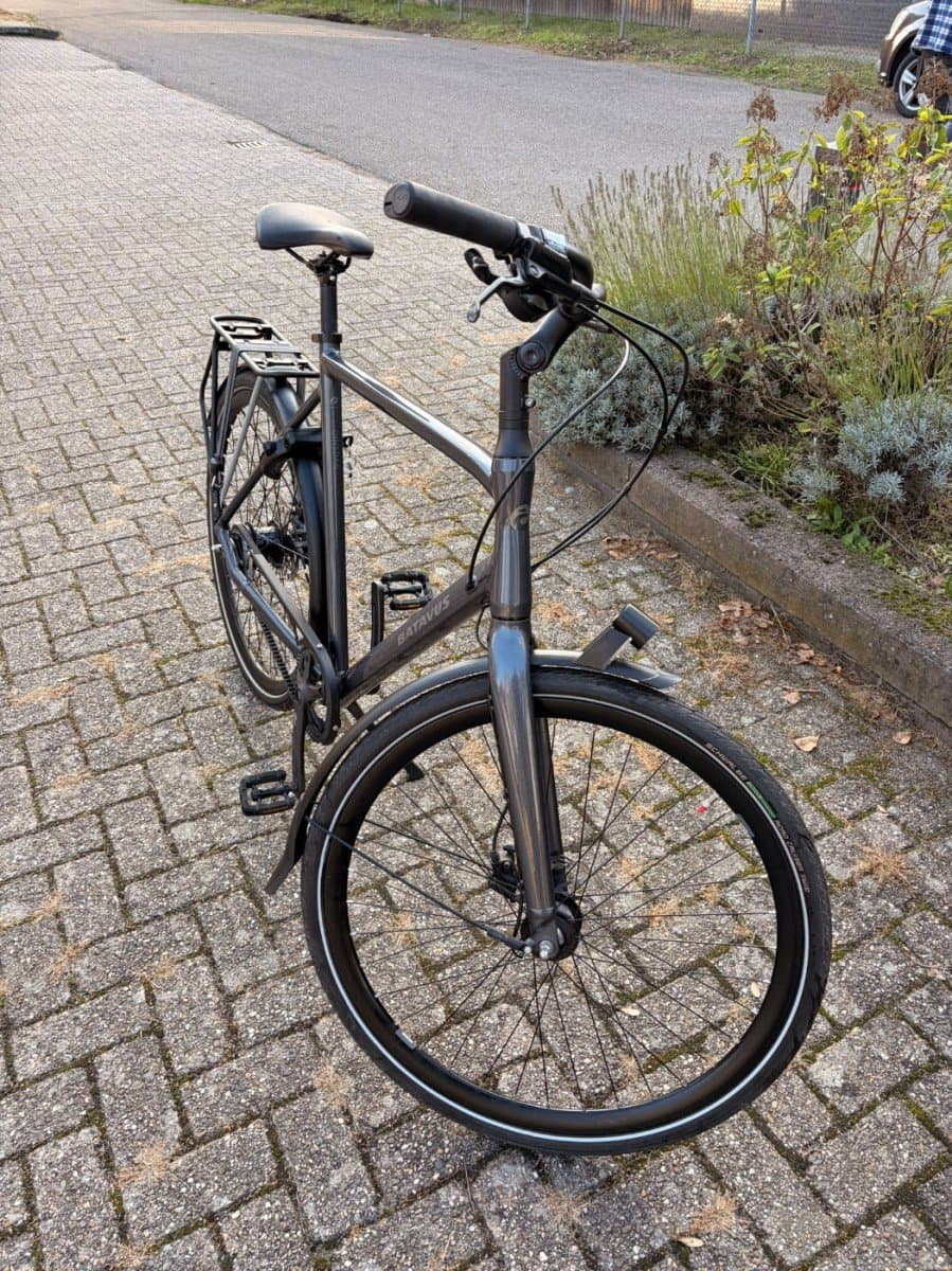 Batavus Dinsdag exclusive alfine 11 — foto 2
