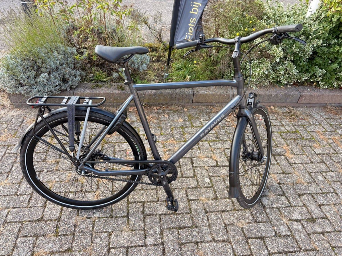 Batavus Dinsdag exclusive alfine 11